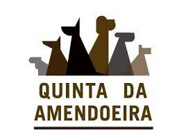 Consultório Veterinário e Hotel Canino Quinta da Amendoeira